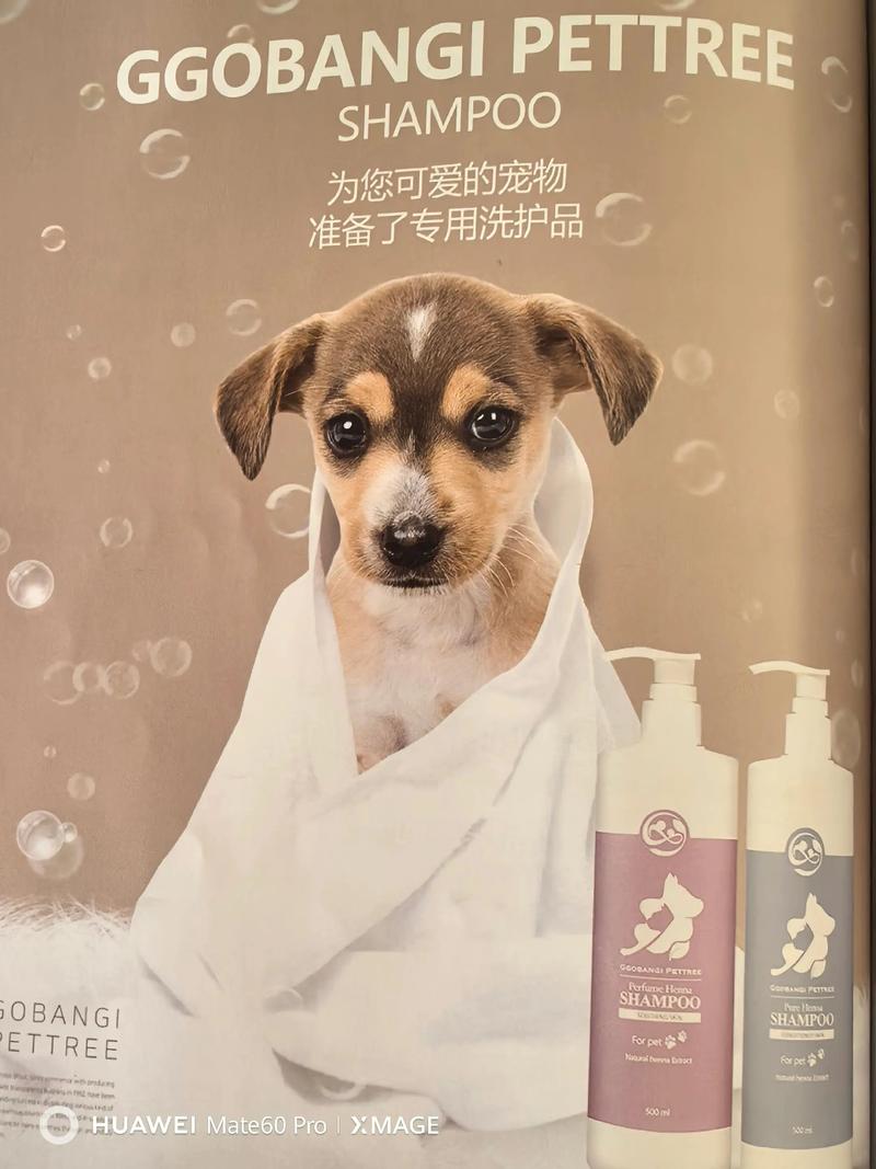 宠物玩具新趋势：给毛孩子的玩具选择多了吗？