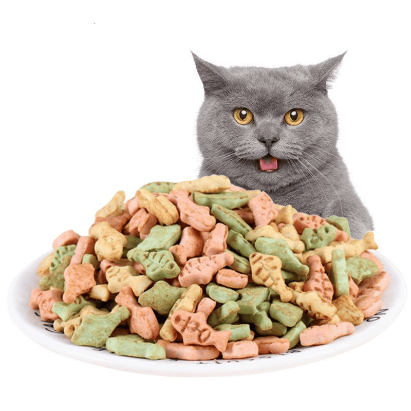 猫粮市场新风向：营养与健康的双重追求