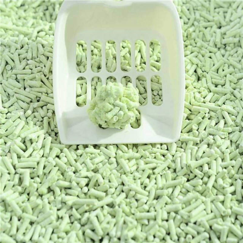 猫咪健康饮食的黄金时段—猫粮的选择与搭配