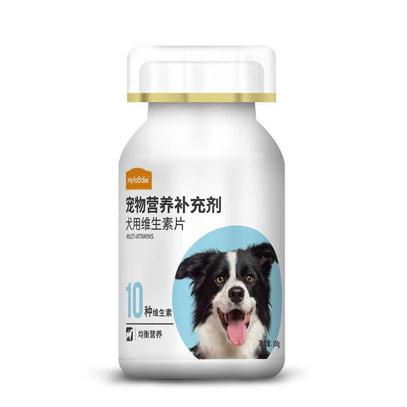 宠物玩具：一场欢愉与健康成长并行的旅程