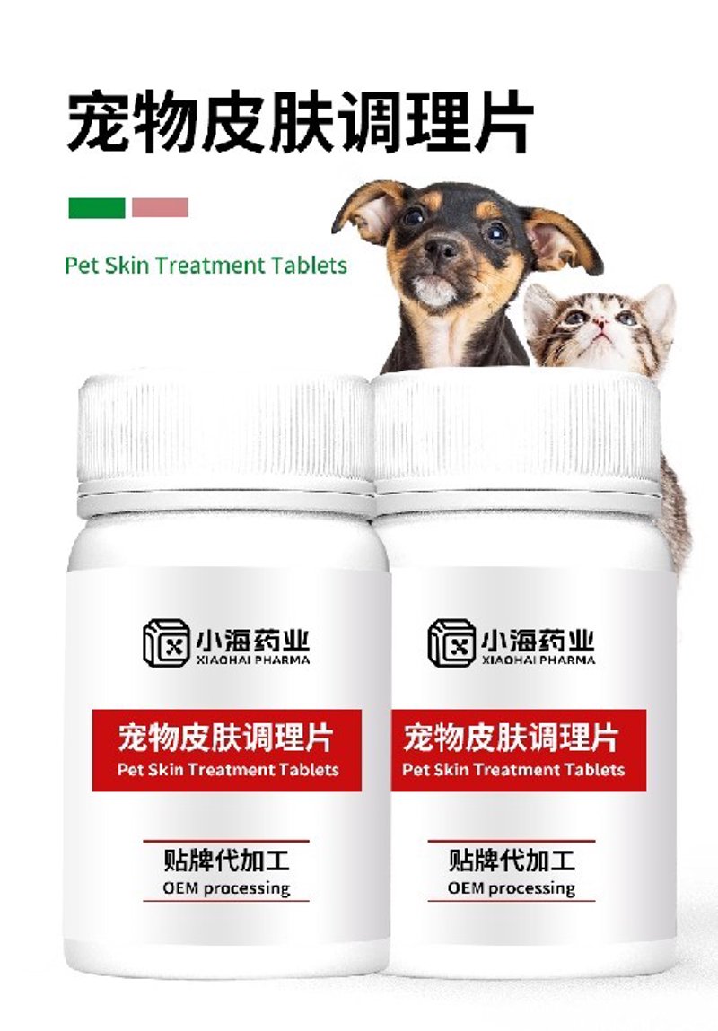 宠物食品行业的最新趋势与发展方向