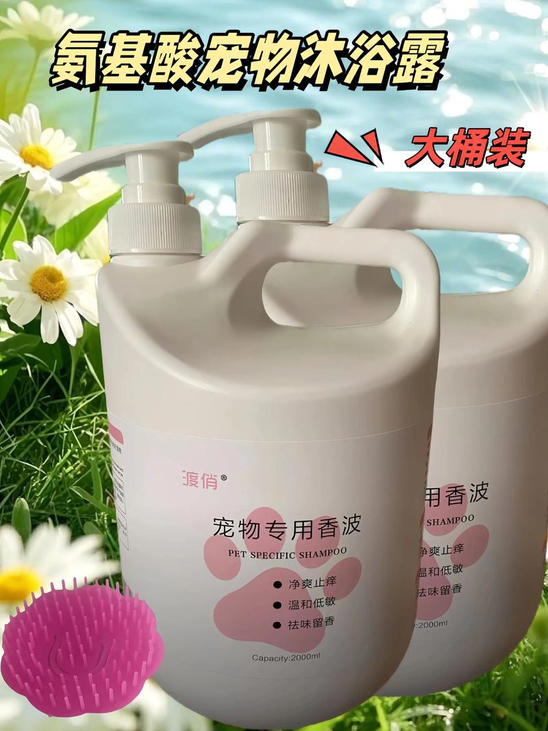 狗粮：甜蜜爱情的象征